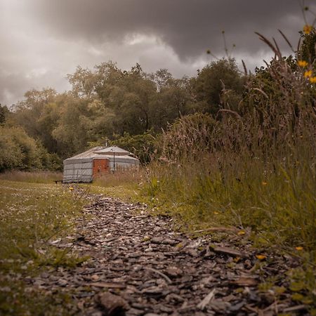 Gilfach Gower Farm Luxury Yurt With Hot Tub Hotell Ammanford Exteriör bild