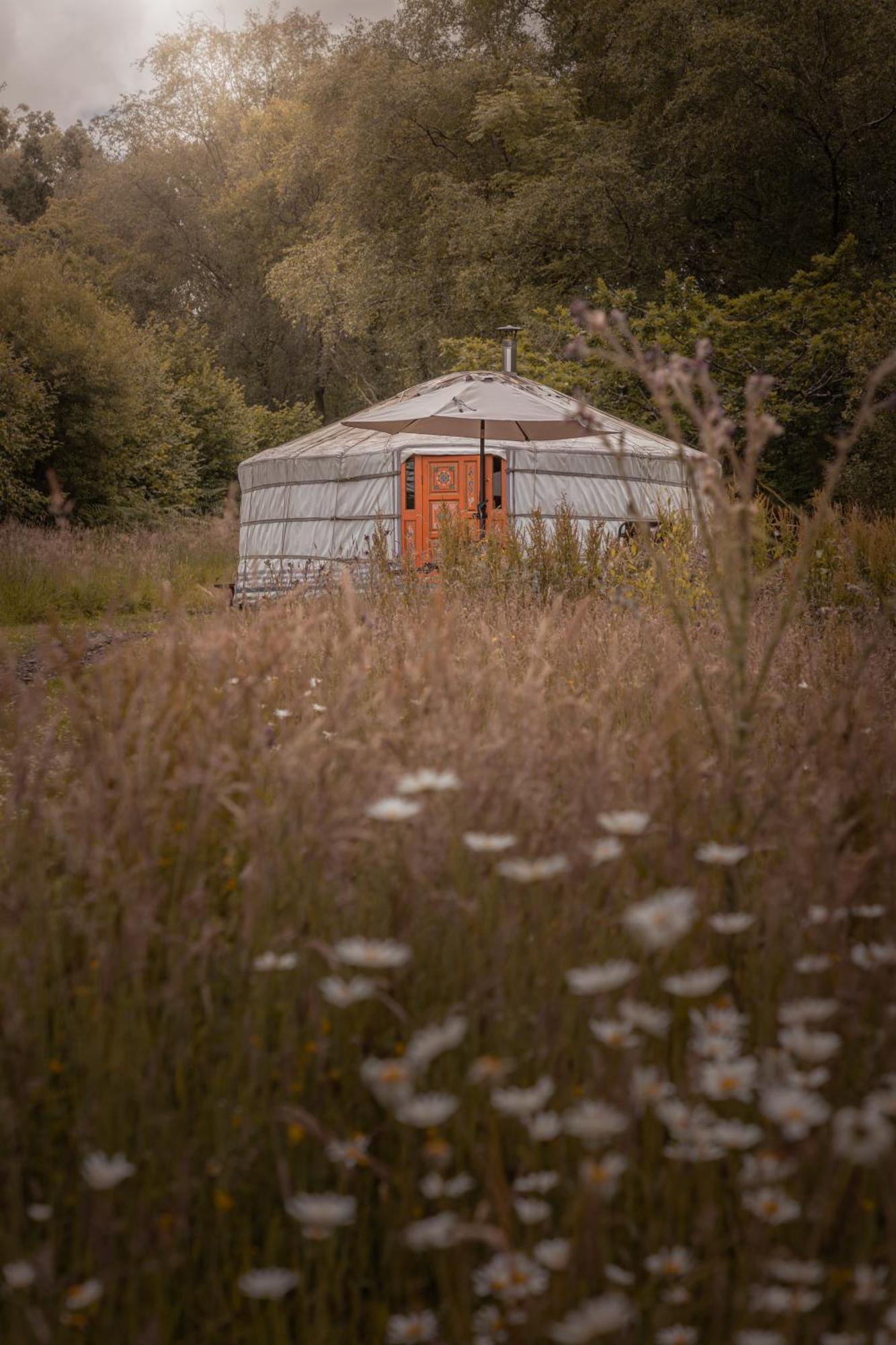 Gilfach Gower Farm Luxury Yurt With Hot Tub Hotell Ammanford Exteriör bild